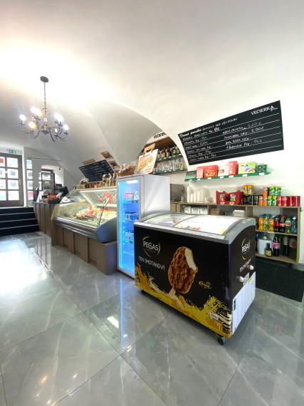 PRENÁJOM OBCHODNÉHO PRIESTORU V TRNAVE V CENTRE MESTA NA HALENÁRSKEJ