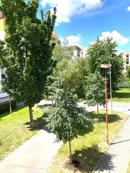 +++DVOJIZBOVÝ BYT NA PREDAJ V HISTORICKOM CENTRE TRNAVY NA VAJANSKÉHO ULICI za 154.500,-+++