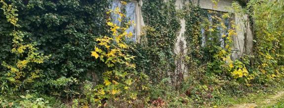 +++ NA PREDAJ RODINNÝ DOM V SUCHEJ NAD PARNOU S POZEMKOM 2111m2+++