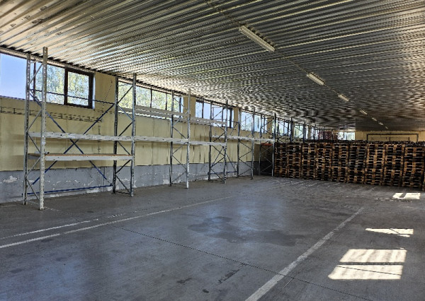 +++ PRENÁJOM ADMINSTRATÍVNYCH PRIESTOROV A SKLAOVACEJ HALY NA STRATEGICKOM MIESTE PRI TRNAVE+++